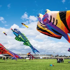 Festival of giant kites, Tempelhoferfeld, giant fish-shaped kites hover over the meadow