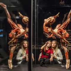 KÖRPERWELTEN Berlin, a ballerina is on display as an exhibit, mother and daughter squat in front of the window and look at the exhibit