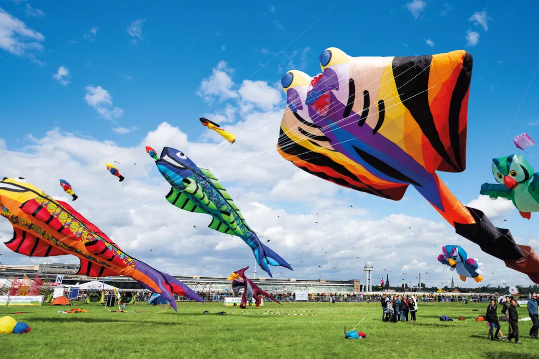 Festival of giant kites, Tempelhoferfeld, giant fish-shaped kites hover over the meadow