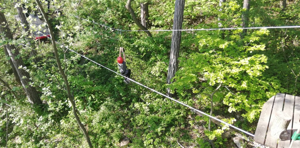 A child is flying through the treetops on the zipline at the forest adventure park.