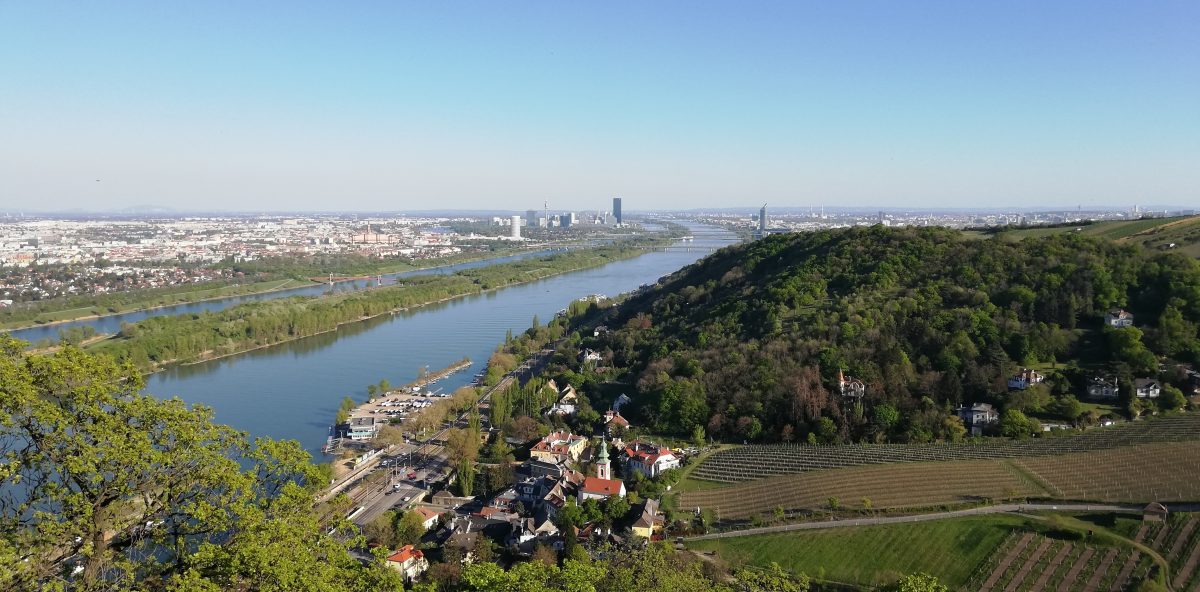 Blick vom Kahlenberg, man sieht die Donau, grüne Berge, Wiesen und Wälder