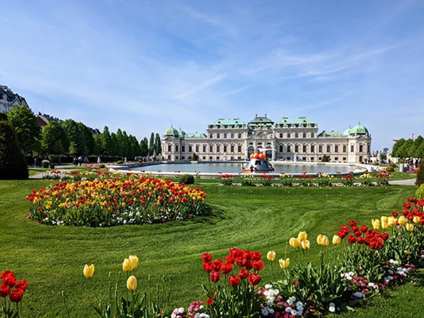 Schloss Belvedere, Tulpen, sonniger Tag