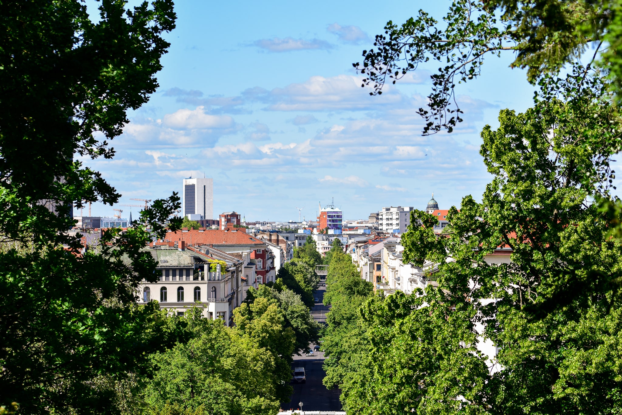 Blick vom Kreuzberg im Viktoriapark, Bäume am Rand, sonniger Tag