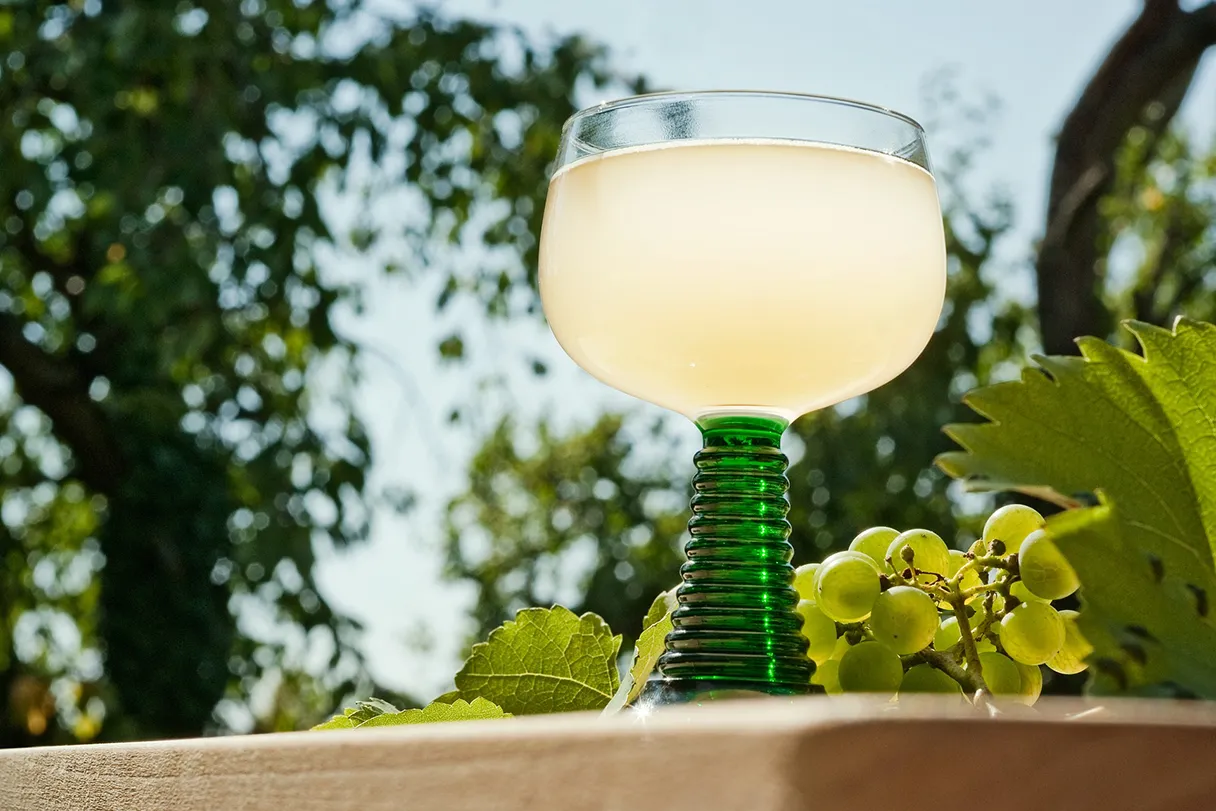 Federweisser in a wine glass with a green stem, grapes in the background