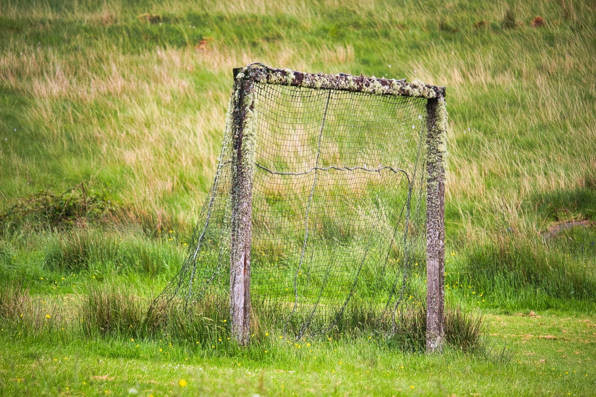 ein mit Moos bewachsenes Fußballtor steht auf einer grünen Wiese