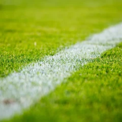 Green soccer field with white edge marking