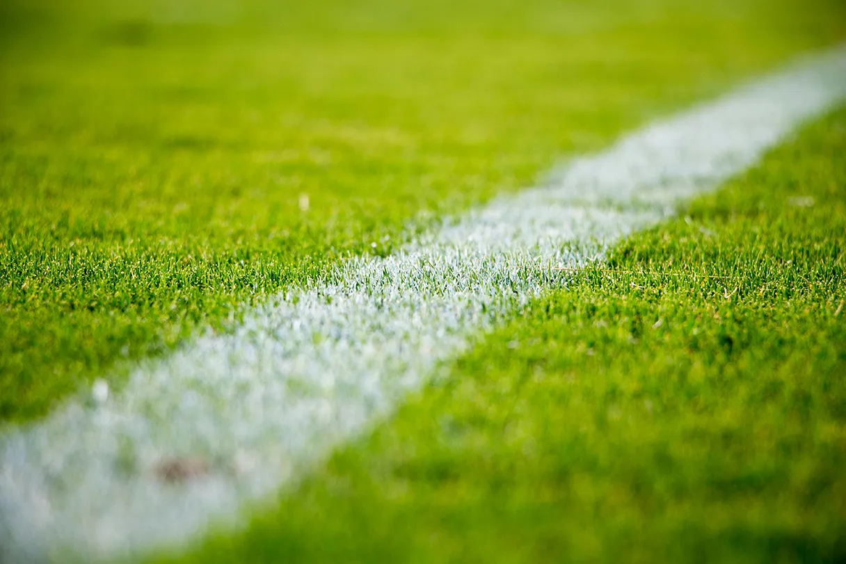 grünes Fußballfeld mit weißer Randmarkierung