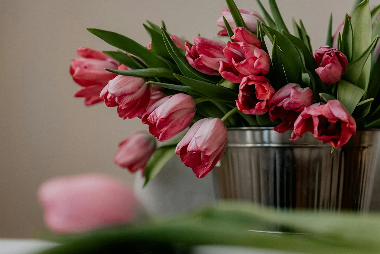 Red tulips are arranged in a silver pot. There is a tulip in the foreground, which is blurred.