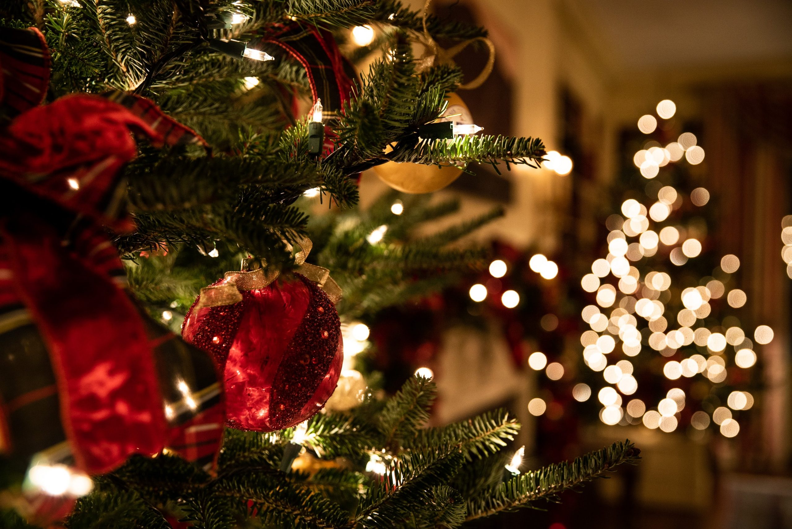 Weihnachtsbaum und im Hintergrund ist der Weihnachtsbaum mit Lichtern im Bokeh zu erkennen.