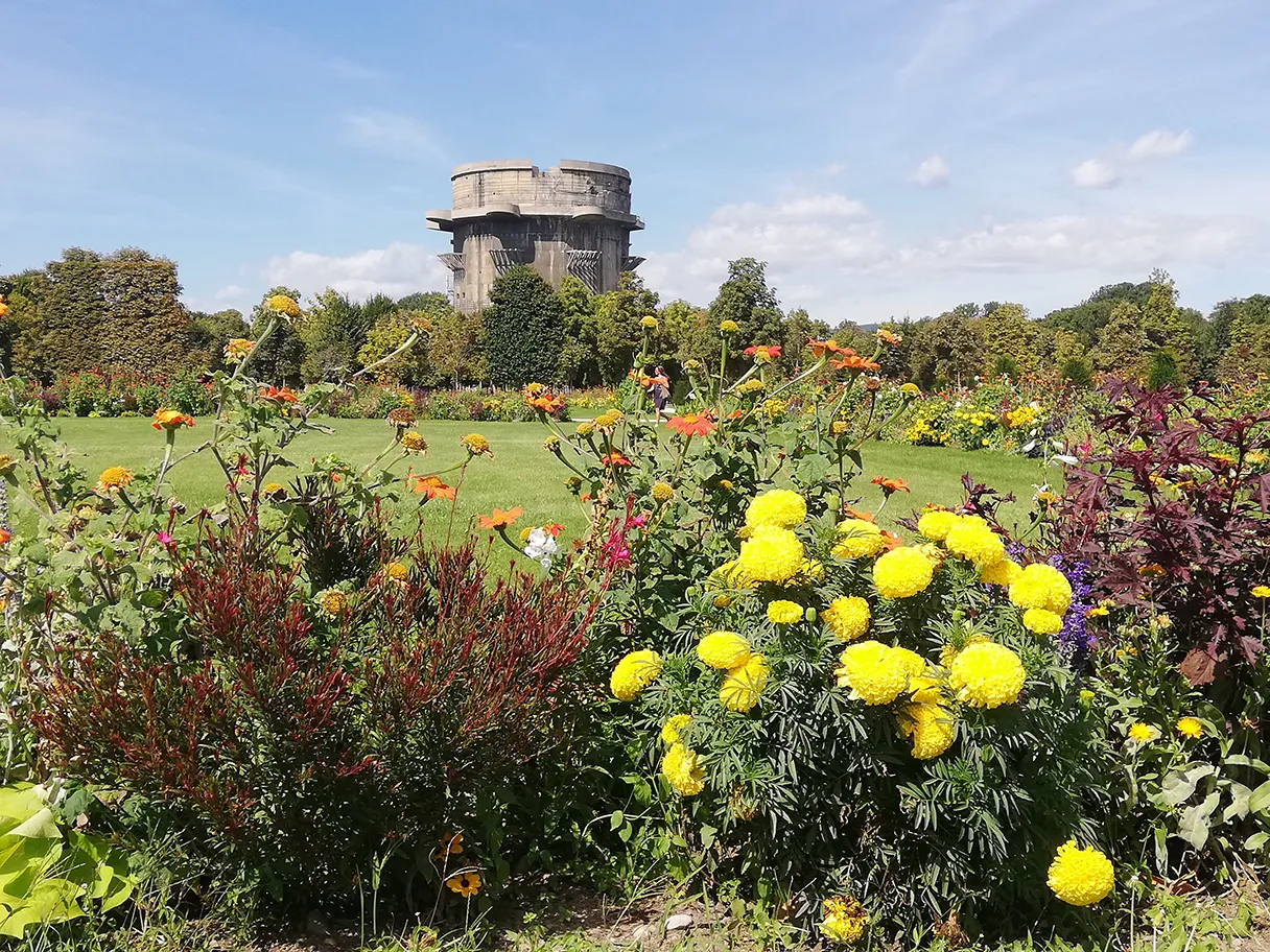 Augarten Vienna, Flakturm, colorful meadow with flowers