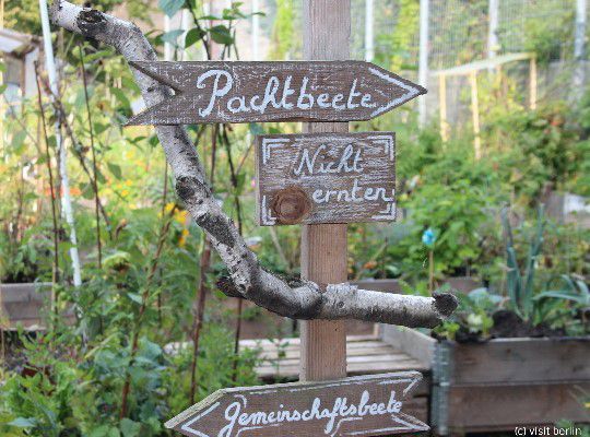 Himmelbeet im Wedding, Holzschilder zeigen in verschiedene Richtungen, Pflanzgarten