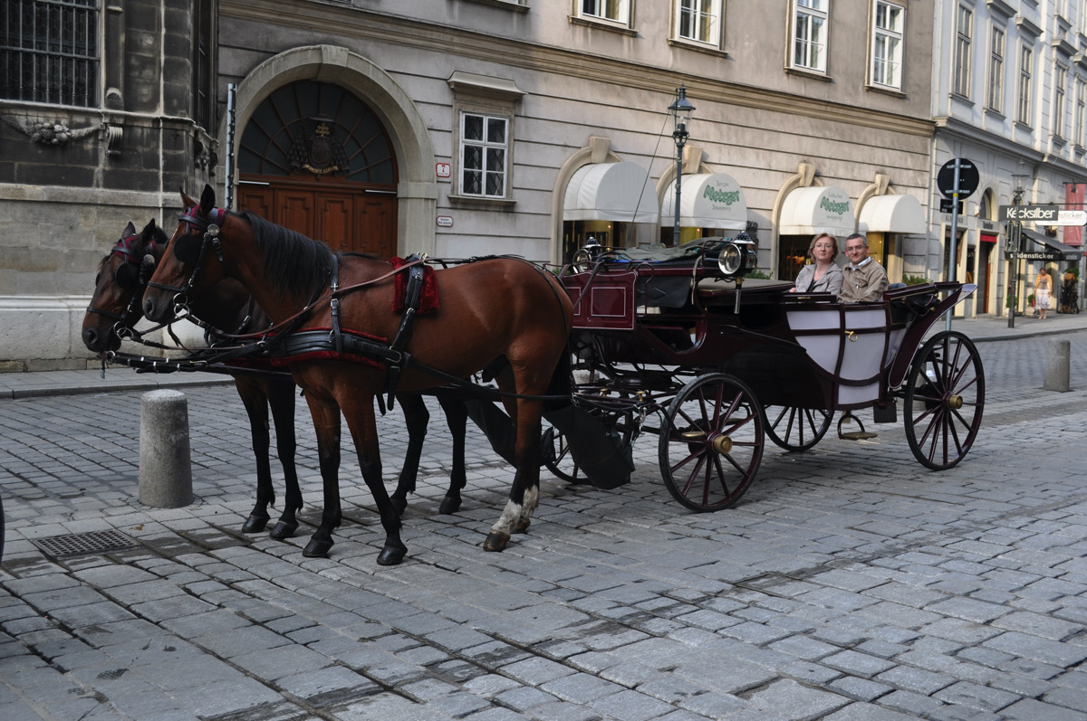 Fiaker fährt auf der Straße mit Gästen durch Wien