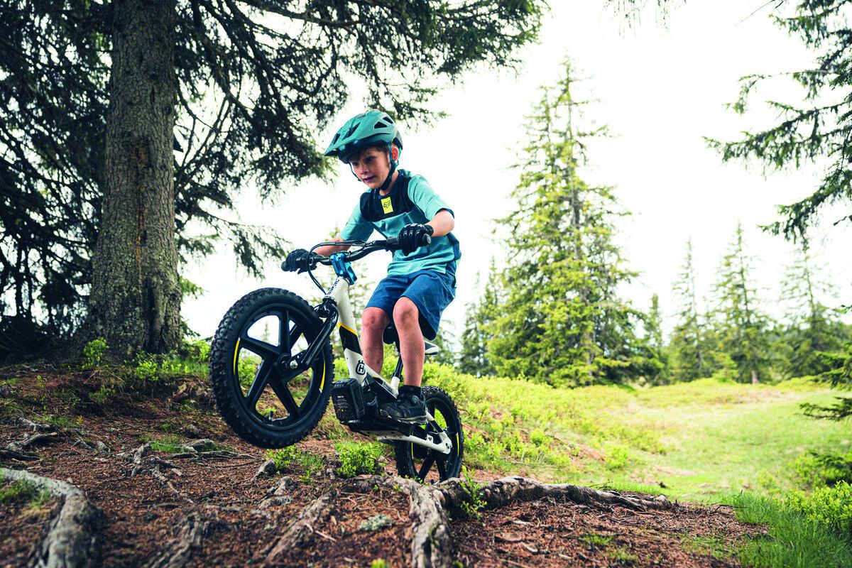 Erlebniswelt Kahlenberg, e-balance biking, child on an e-bike in the forest, riding over roots