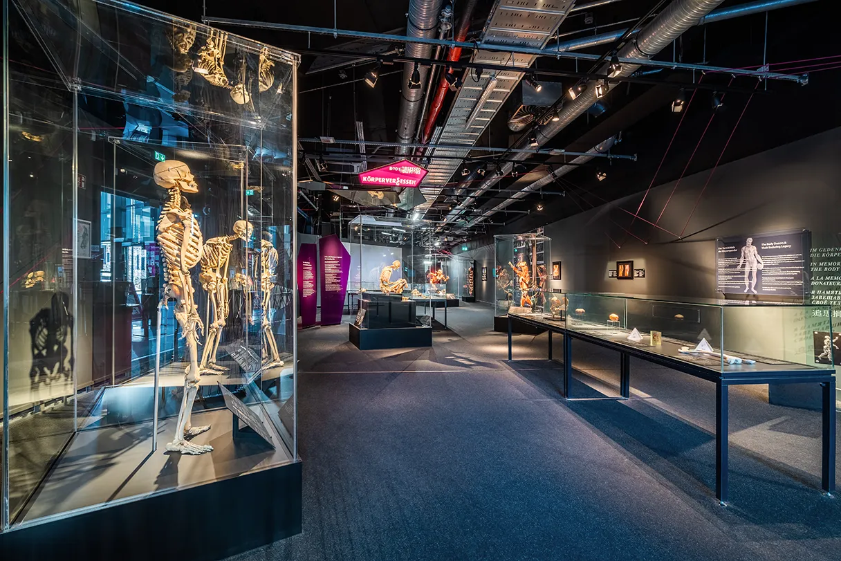 View into the exhibition rooms of the BODY WORLDS Museum in Berlin. Showcases, tables with exhibits. Long exhibition room without people.