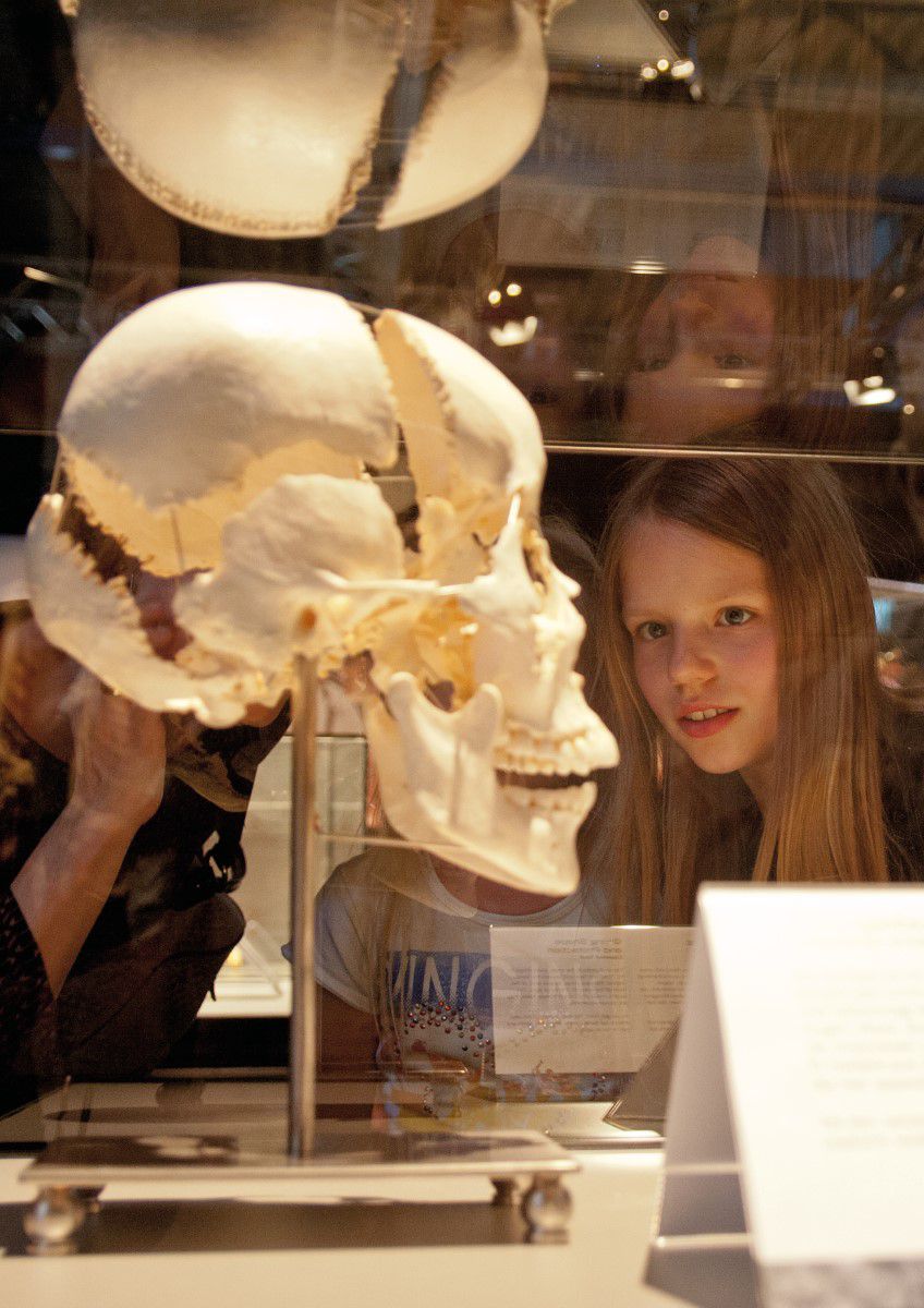 BODY WORLDS Berlin, Child looking at a skull as plastinate