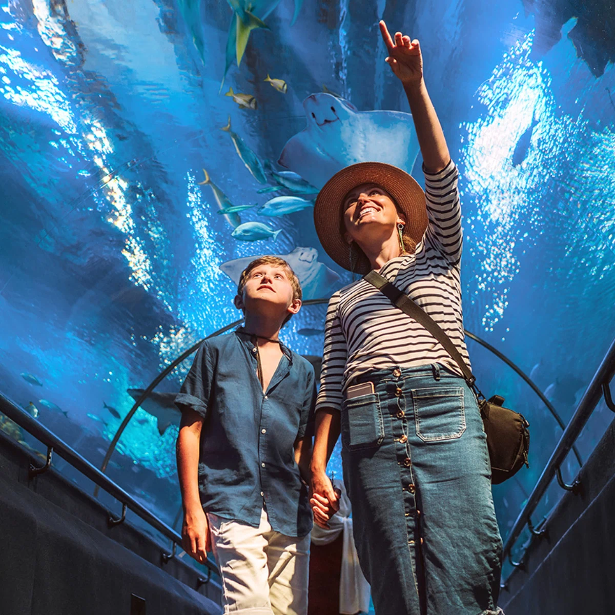 SEA Life Berlin, mother and son walk through the shark tunnel and marvel at what fish swim above them, the mother points forward with her left hand and index finger