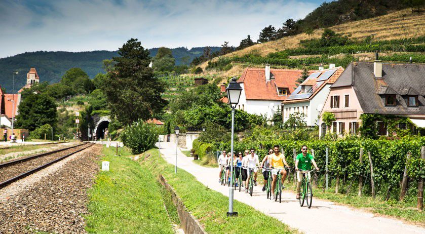 Vienna Explorer Tours & Day Trips, Fahrradtour durch die Weinberge