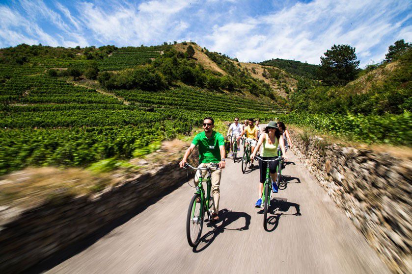 Vienna Explorer Tours & Day Trips, Fahrradtour durch die Weinberge