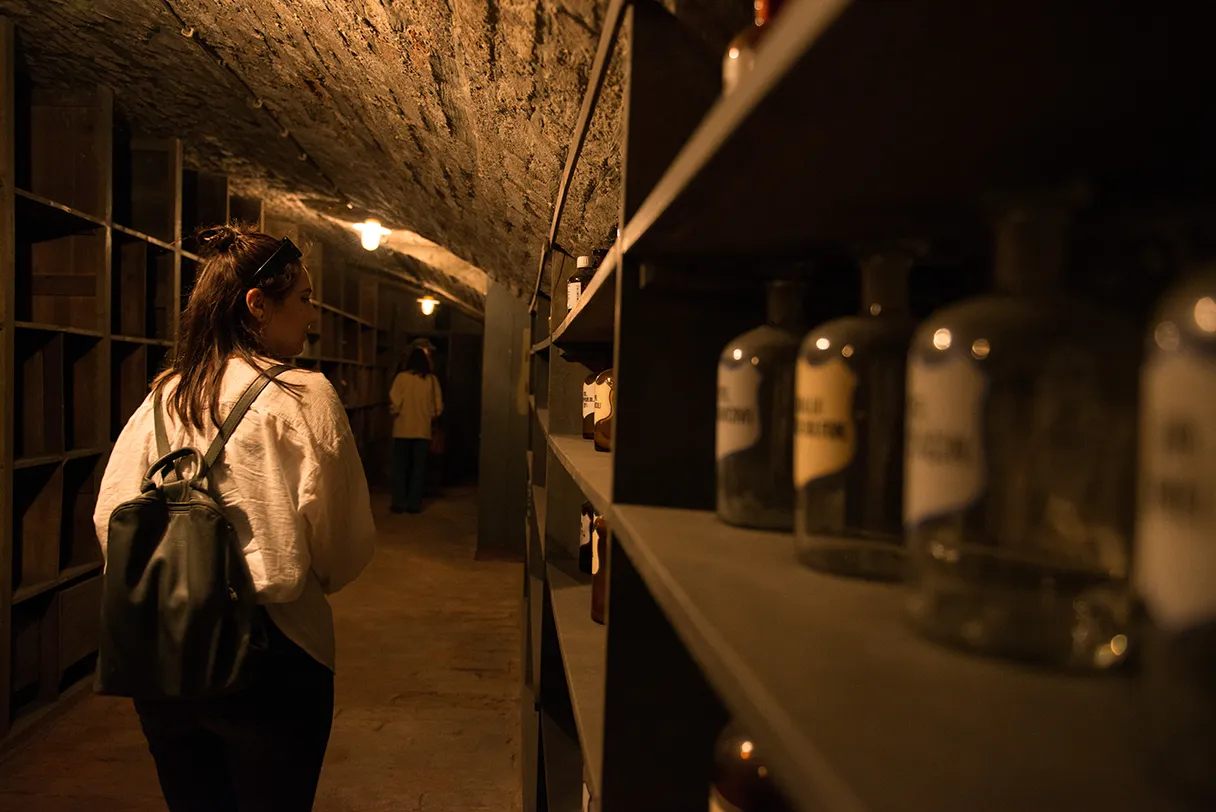 Vienna with a difference, tour of the Viennese underworld, cellar corridor with various shelves containing empty glasses, woman walking along the corridor