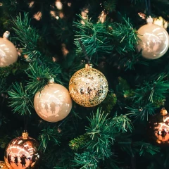 Christmas tree with rose-colored Christmas baubles. A picture detail in which only fir greenery and baubles can be seen.