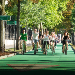 Eine Gruppe fährt auf dem Ring auf dem Fahrradweg mit den Fahrrädern. Ein sonniger Tag, grüne Bäume rechts und links, sonniger Tag.